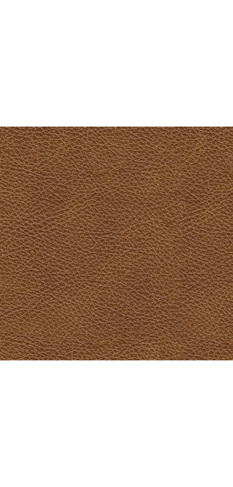 Carianna Sofa, Loveseat, Chair and Ottoman